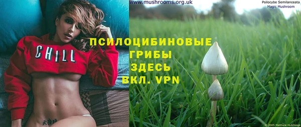 хмурый Алексеевка